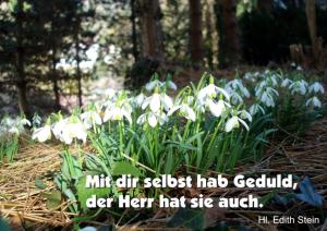Stein-Mit-dir-selbst-hab-Geduld