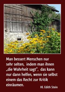 Stein-man-bessert-einen-Menschen-nur