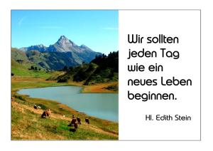 Stein Wir-sollten-jeden-Tag