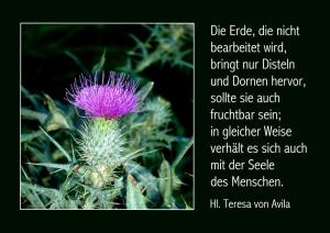 Theresa-v-Avila-Die-Erde-die-nicht-bearbeitet-wird