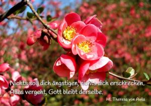 Theresa-v-Avila-Nichts-verwirre-dich3