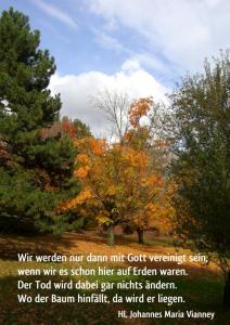 Vianney-Wir-werden-nur-dann-mit-Gott-vereinigt-sein