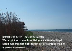 Vianney Betrachtend-beten-betend-betrachten