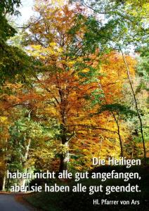 Vianney die-heiligen-haben