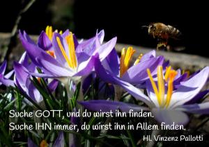 Vinzenz-Pallotti-Suche-Gott-und-du-wirst-ihn-finden