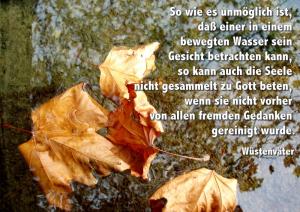Wuestenvaeter So-wie-es-unmoeglich