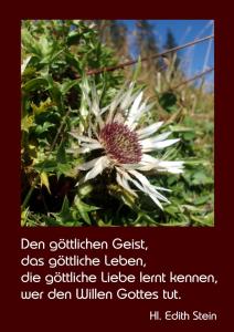 stein den-goettlichen-Geist