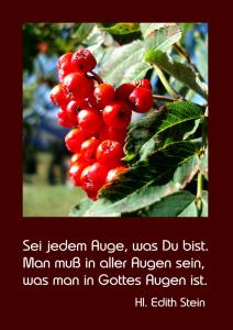 stein sei-jedem-Auge